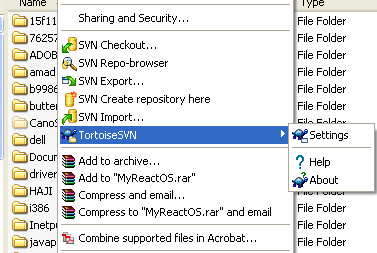 Building ReactOS operating system: TortoiseSVN client - new  settings in effect