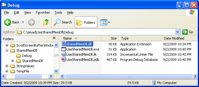 Processes that Use the Shared Memory Program Example: Copying the DLL file to the current project folder