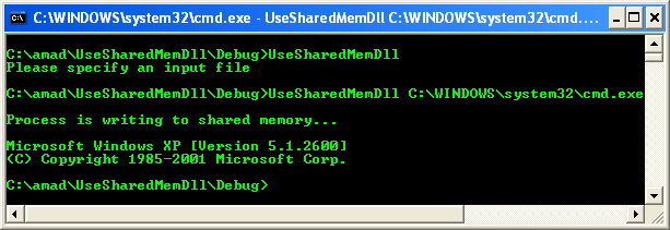 Processes that Use the Shared Memory Program Example: A sample console program output in action with cmd.exe as the argument
