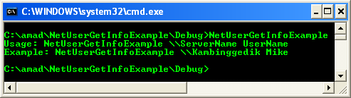 NetUserGetInfo() Function Program Example: A sample console program output