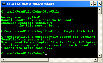 Open a File for Reading Program Example: A sample console program output in action