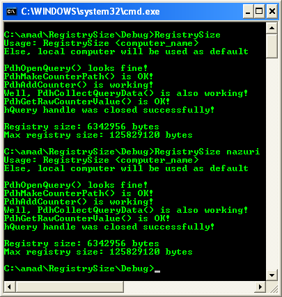 Determining the Registry Size Program Example: A sample console program output in action
