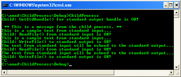 The Child Process Program Example: A sample console program output in action 2