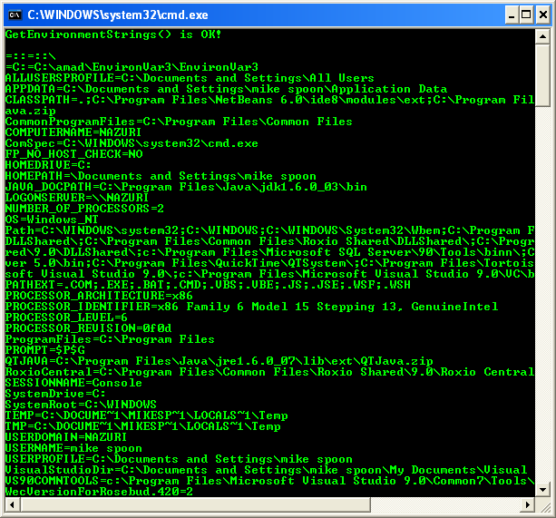 Environment Variables: Program Example 3 - A sample console program output in action